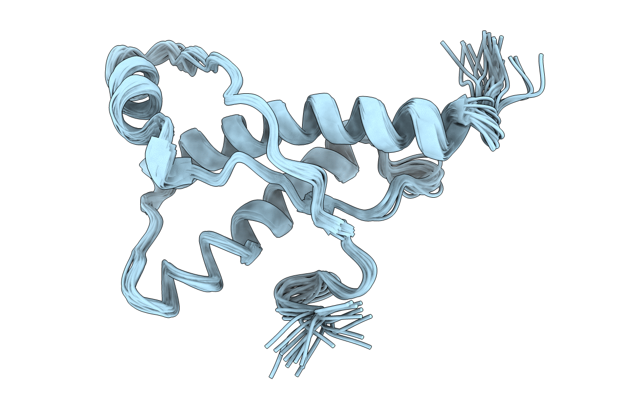 2L40 image