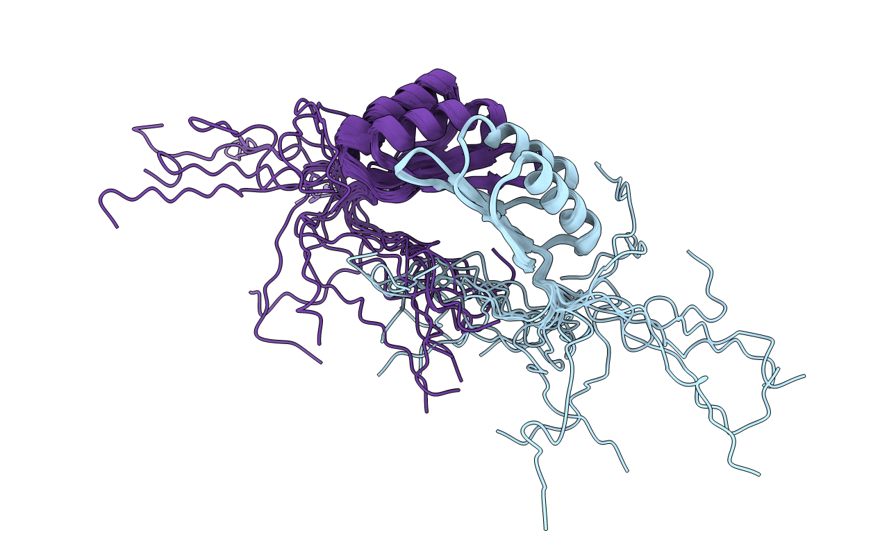2L48 image