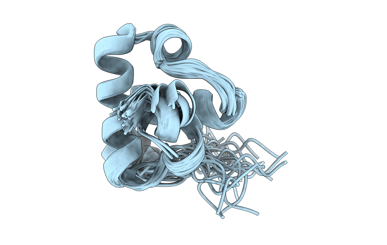 2L4A image