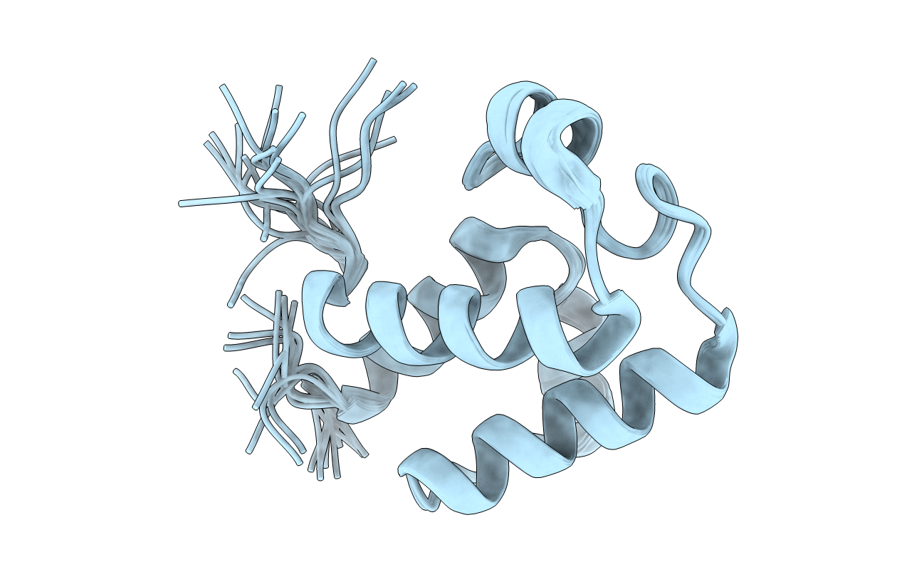 2L4B image