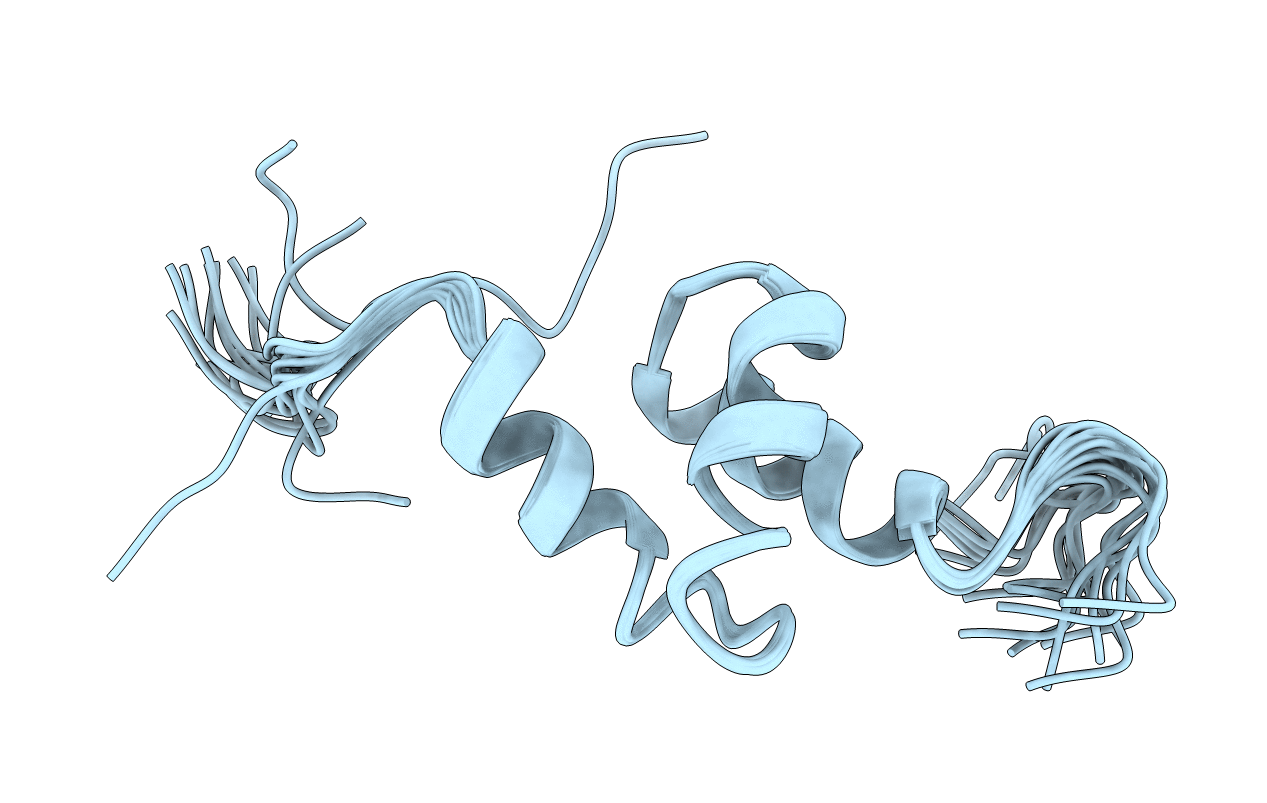 2L4E image