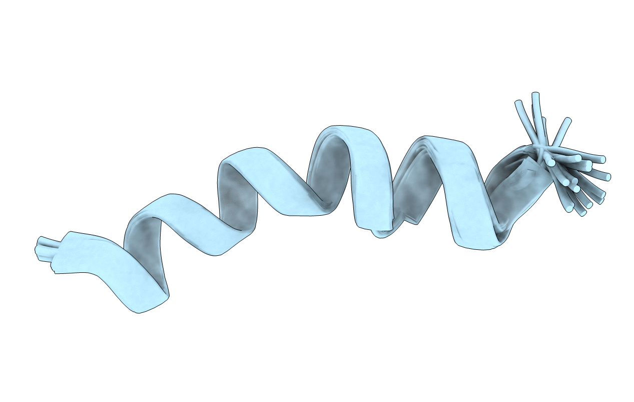 2L4G image