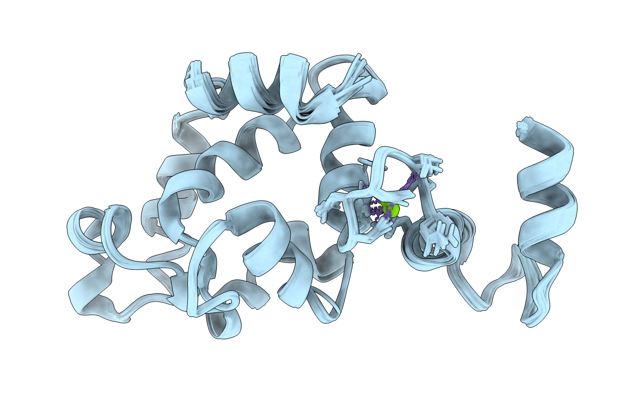 2L4I image