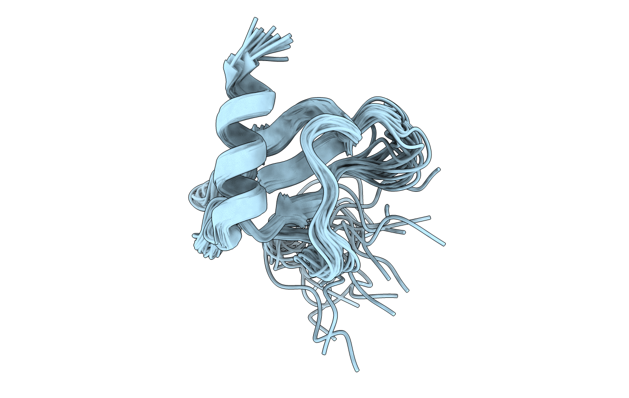 2L4N image