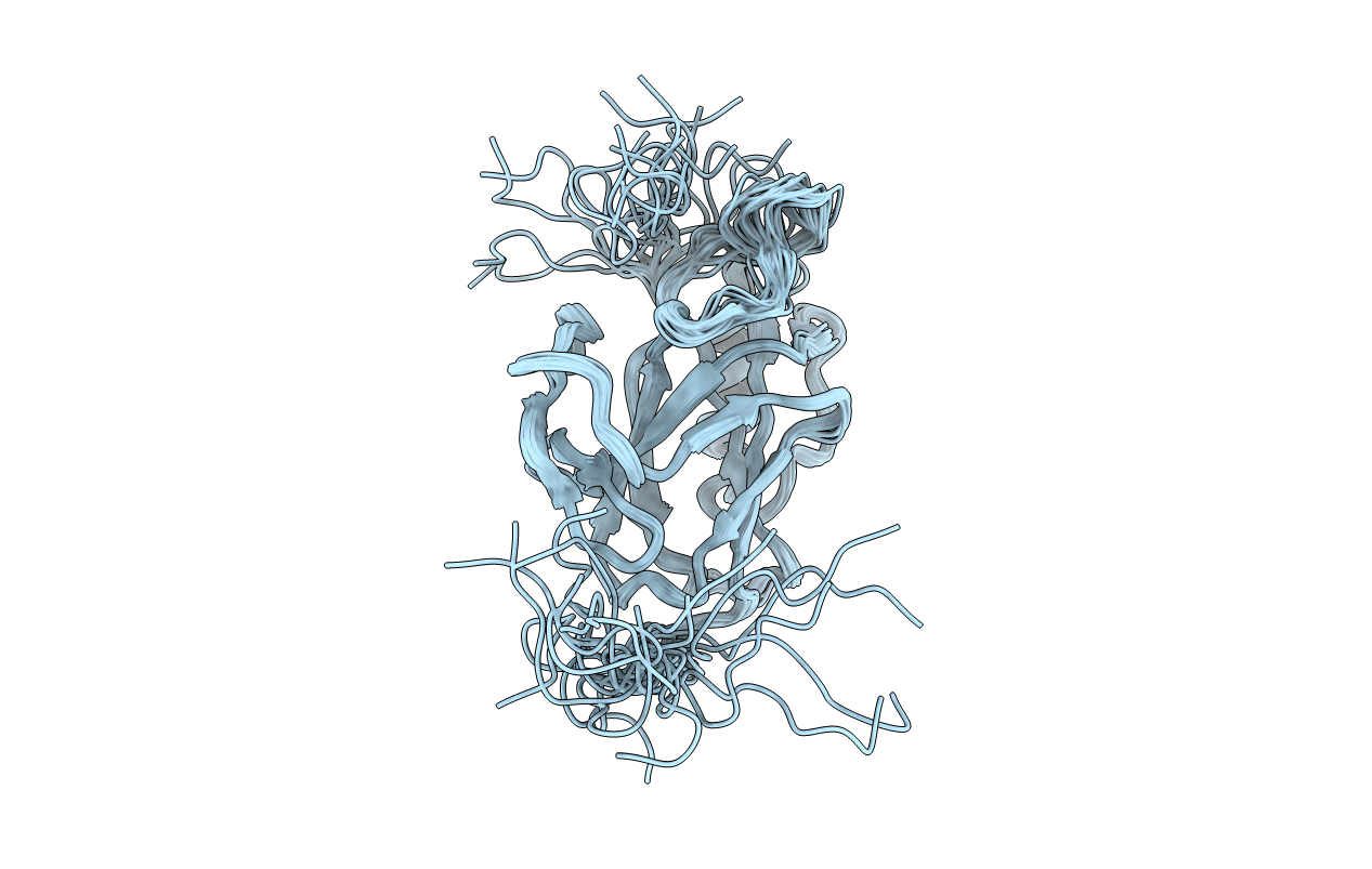 2L4O image