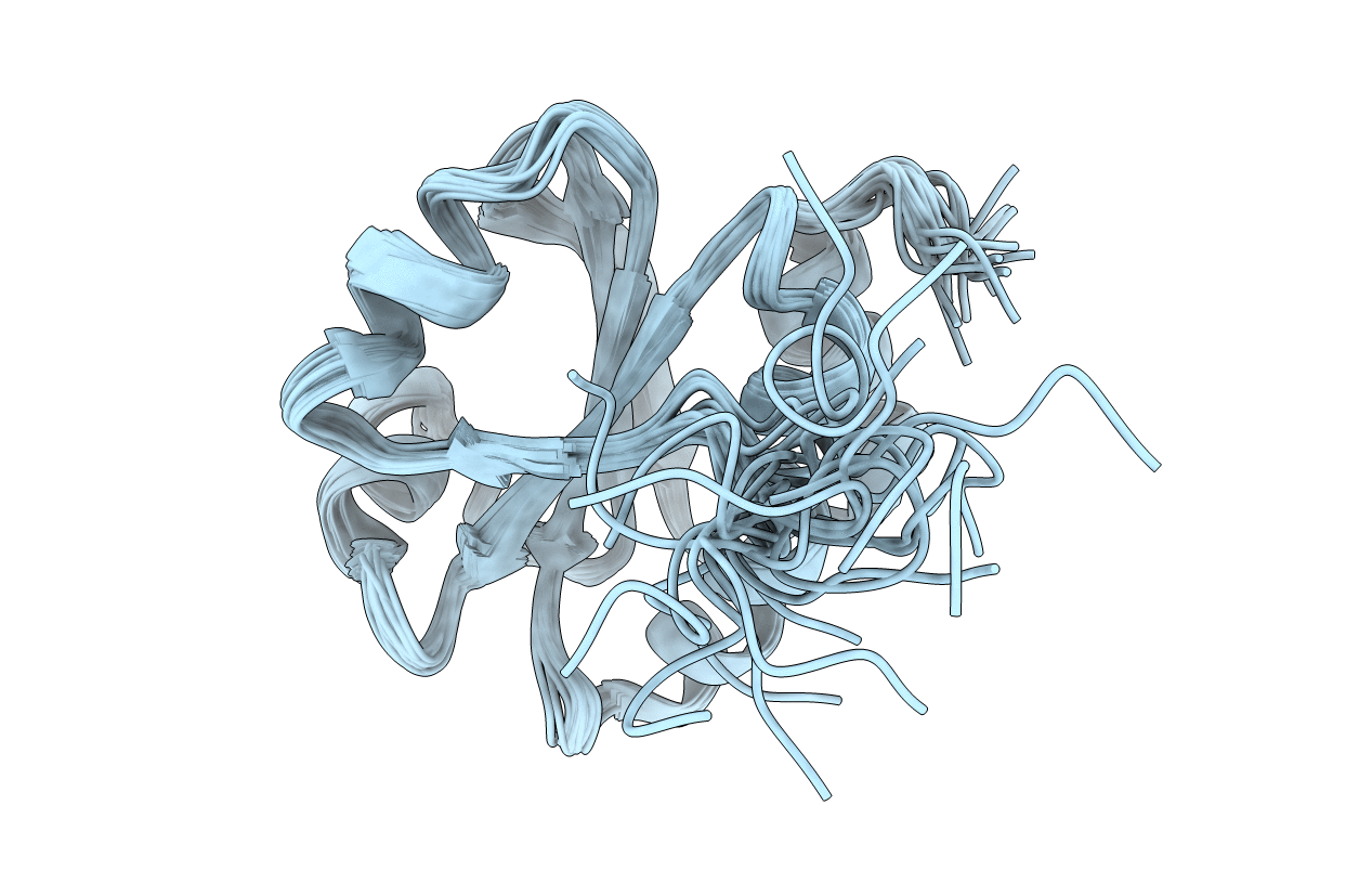2L4Q image