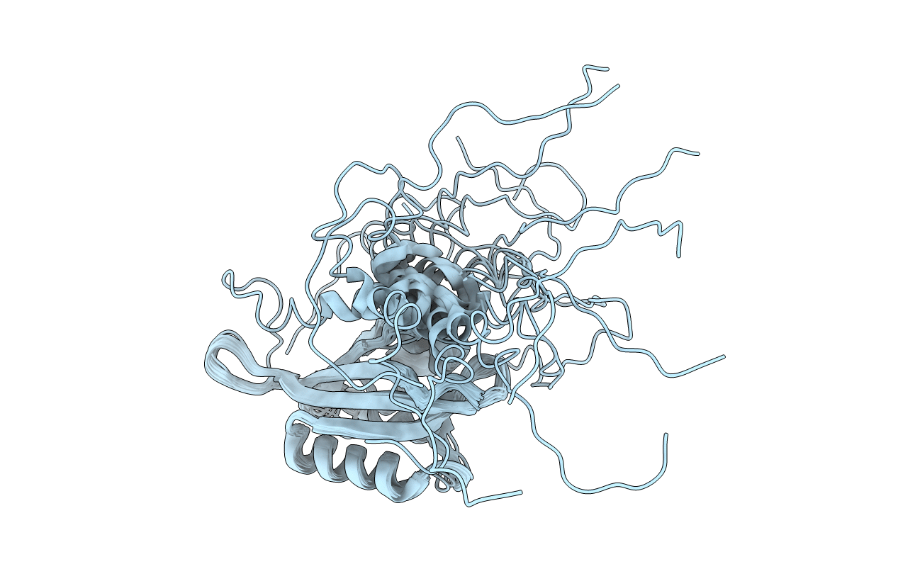 2L4R image