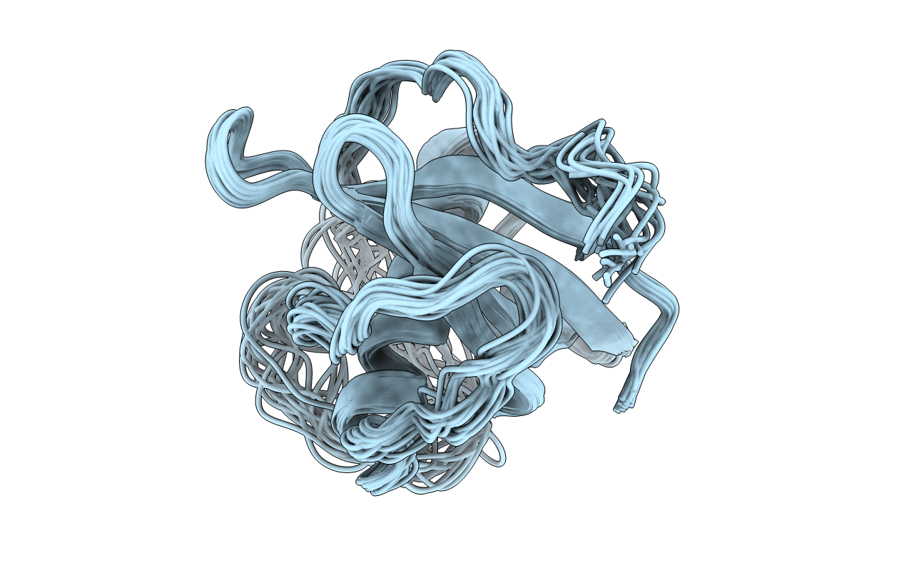 2L4V image