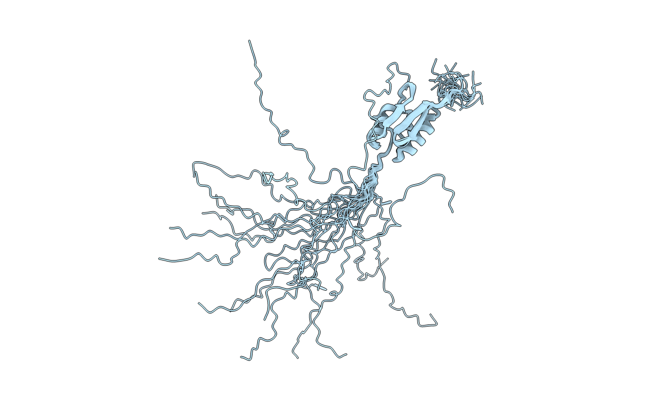2L4W image