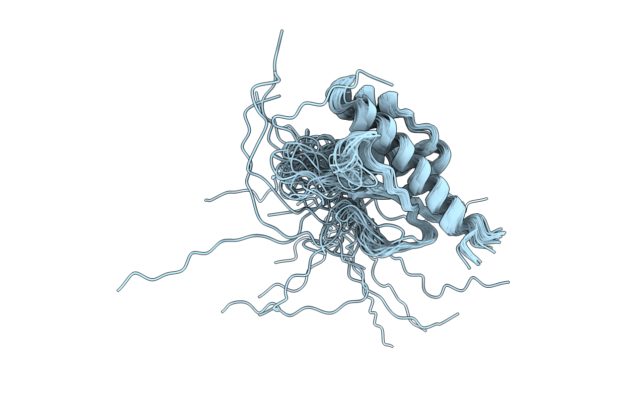 2L4X image
