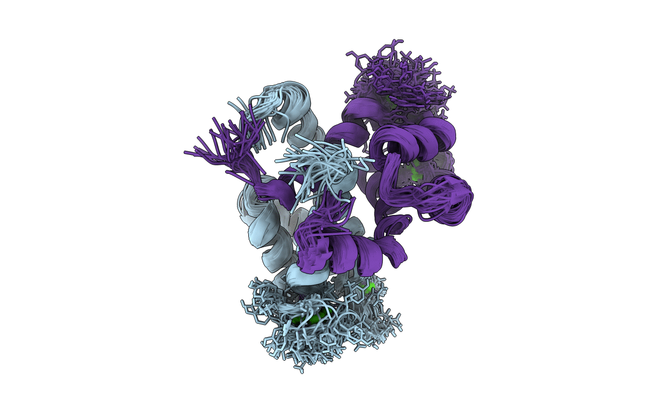 2L51 image