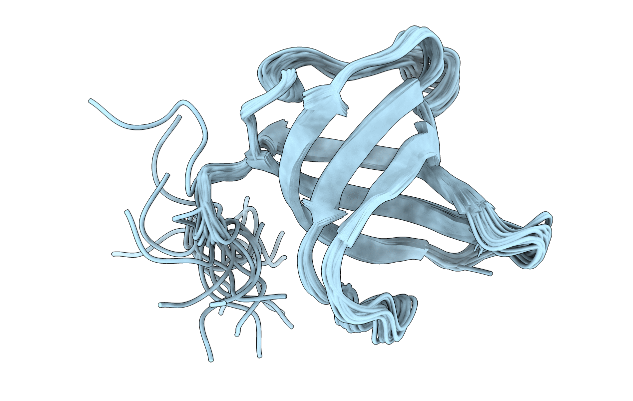 2L55 image