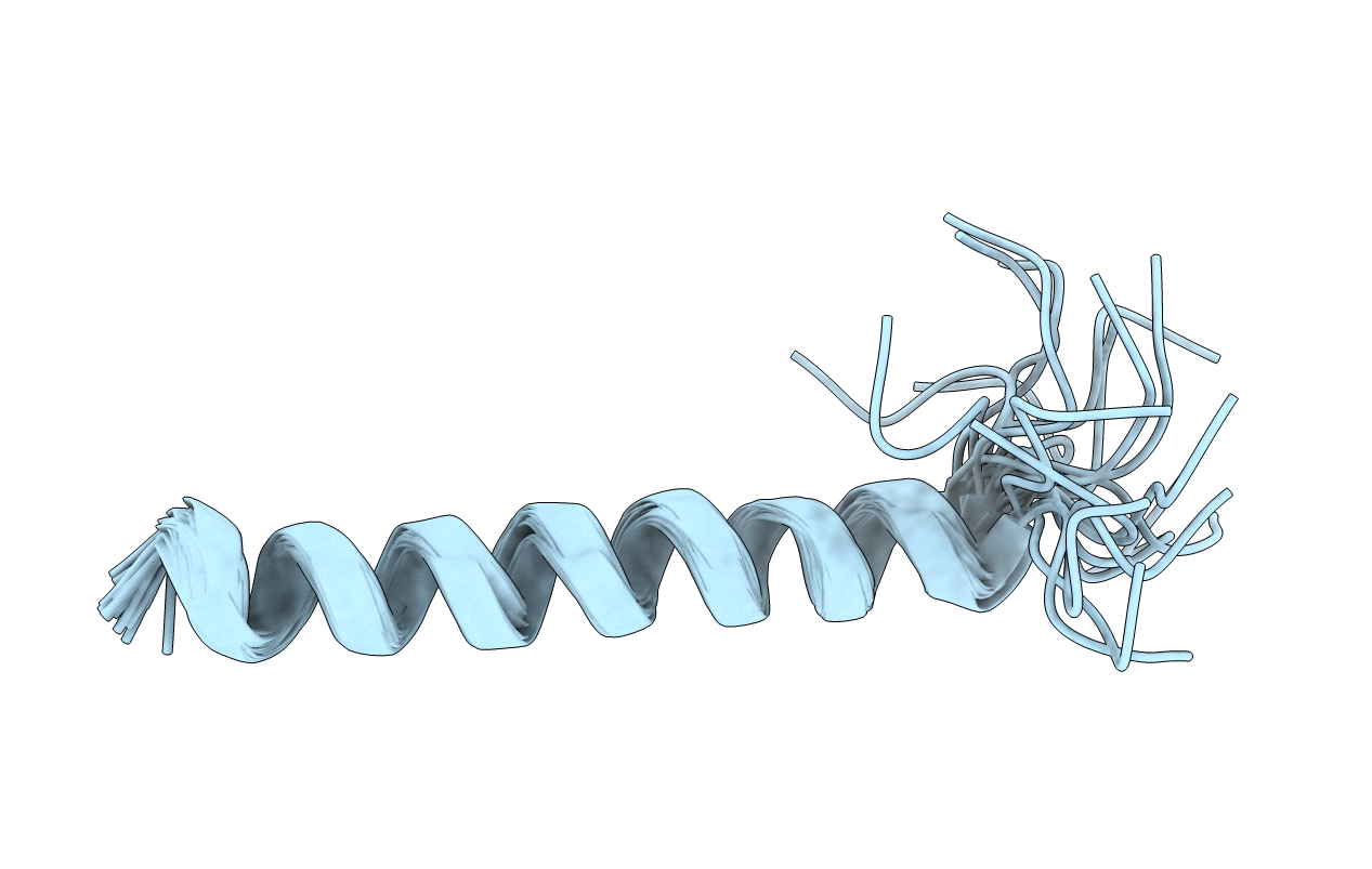2L58 image
