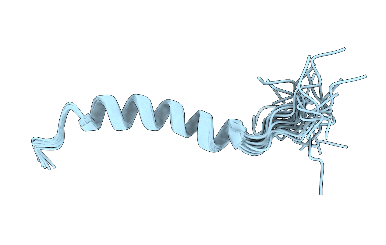 2L5B image