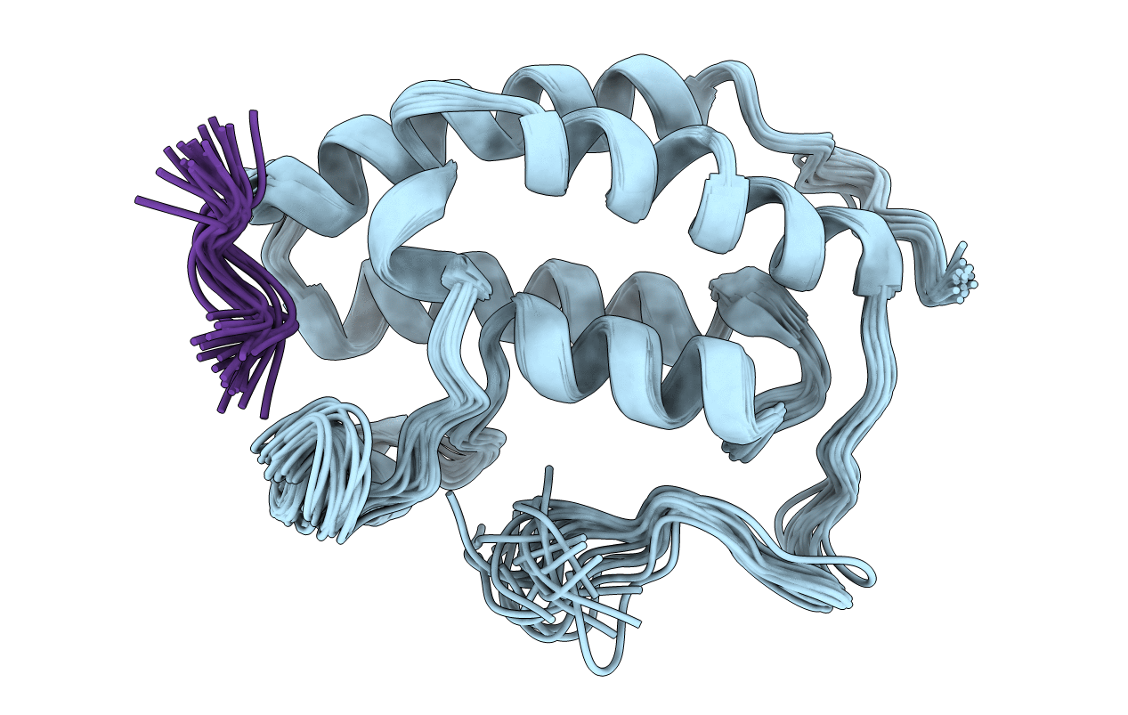 2L5E image