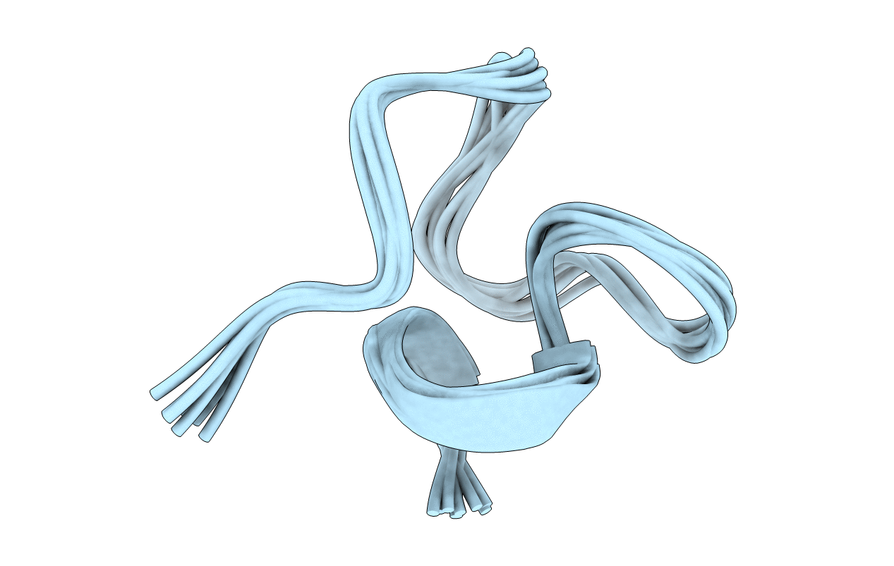 2L5I image