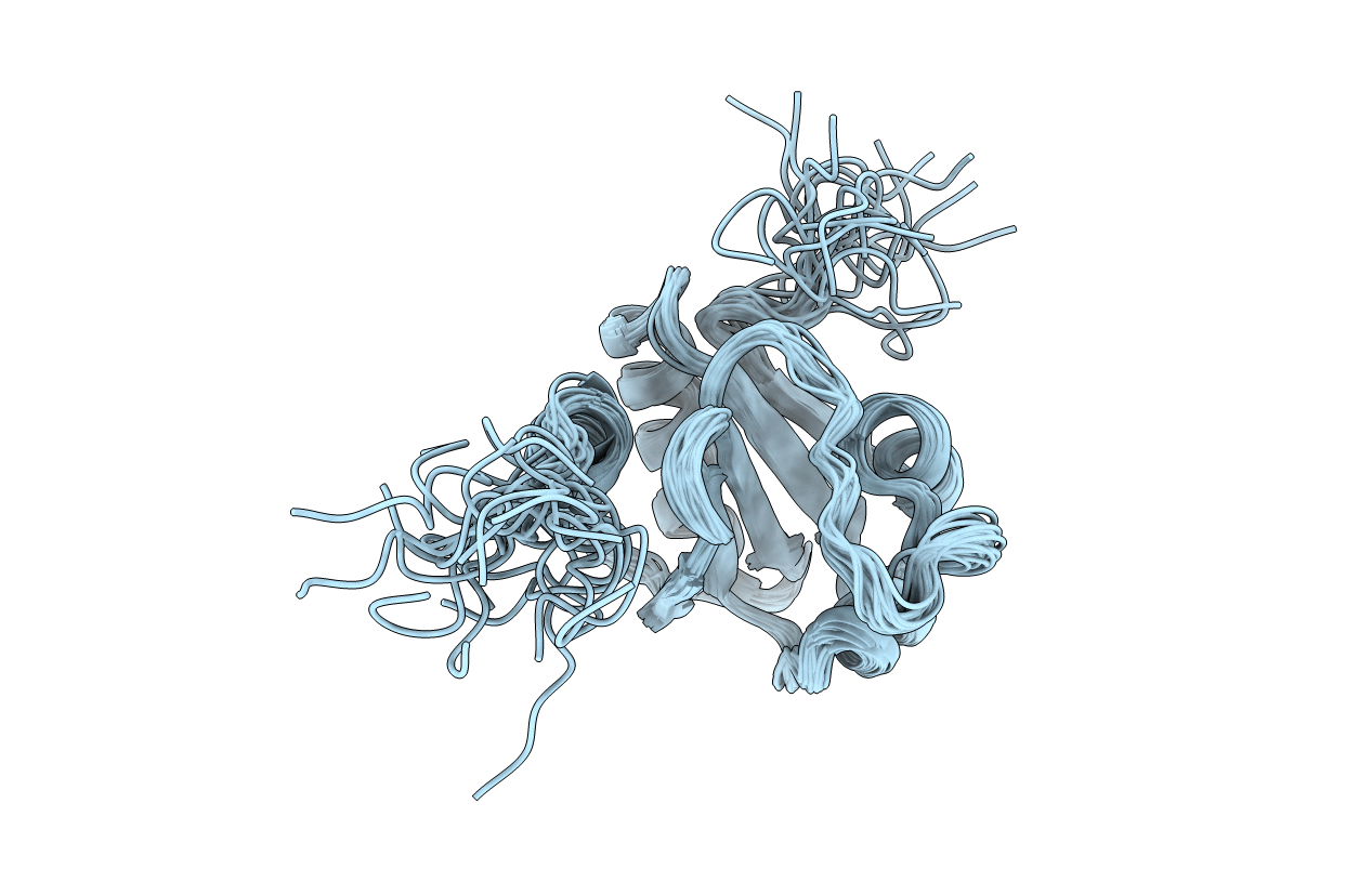 2L5L image