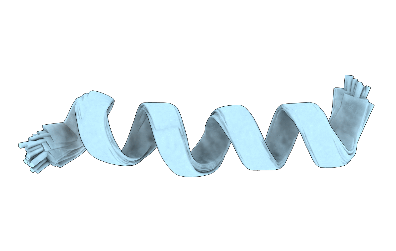 2L5M image