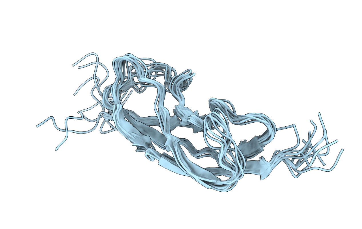 2L5N image