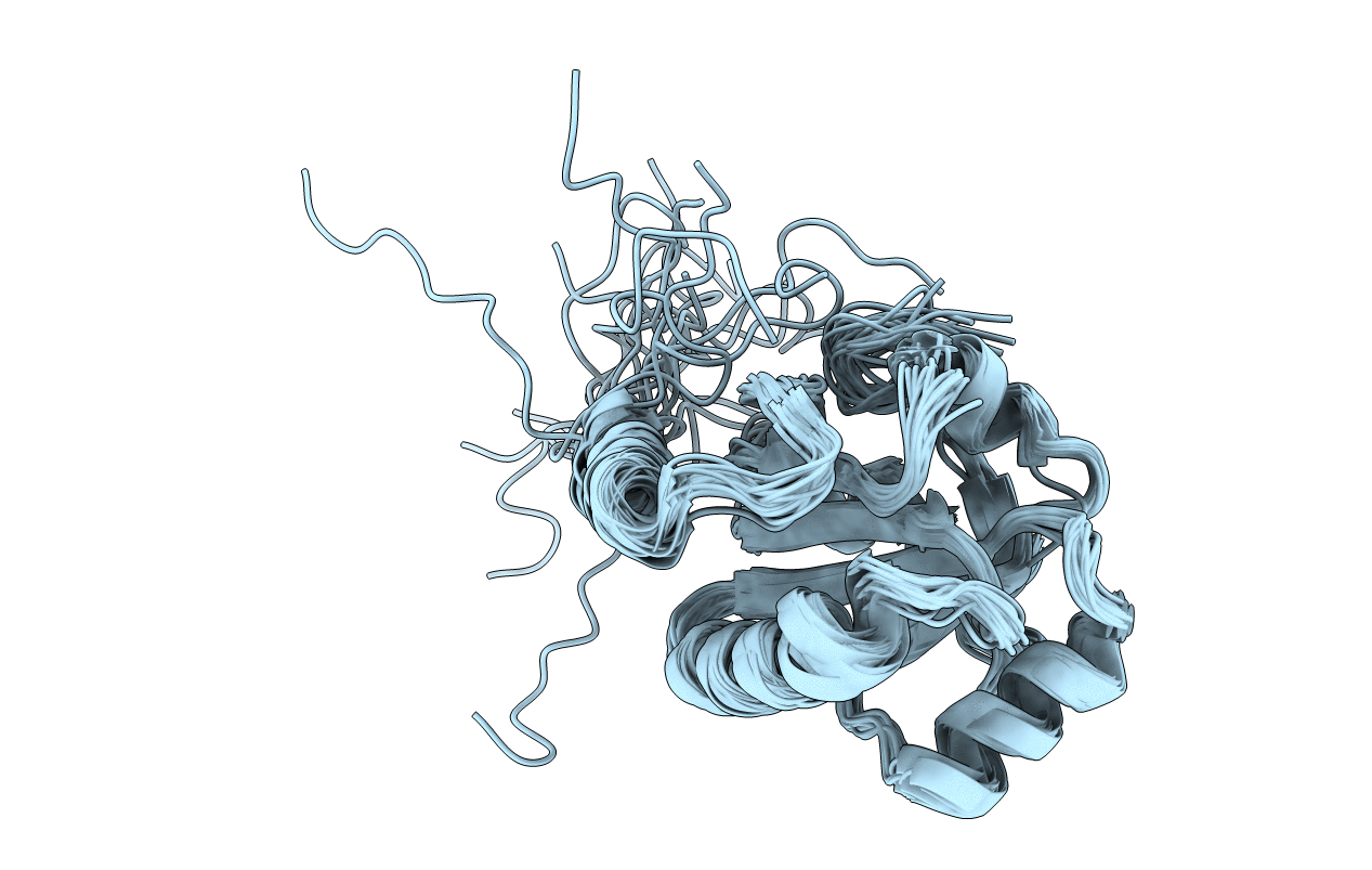 2L5O image