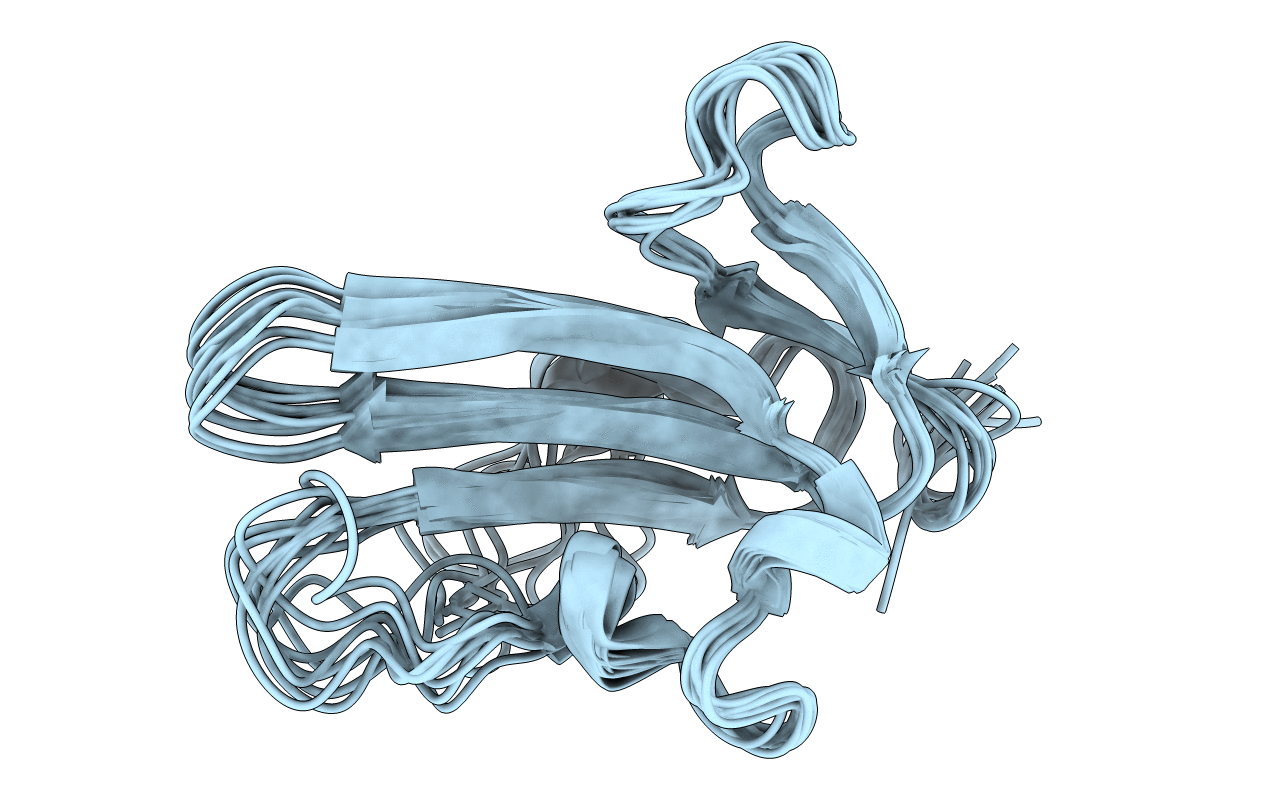 2L5S image