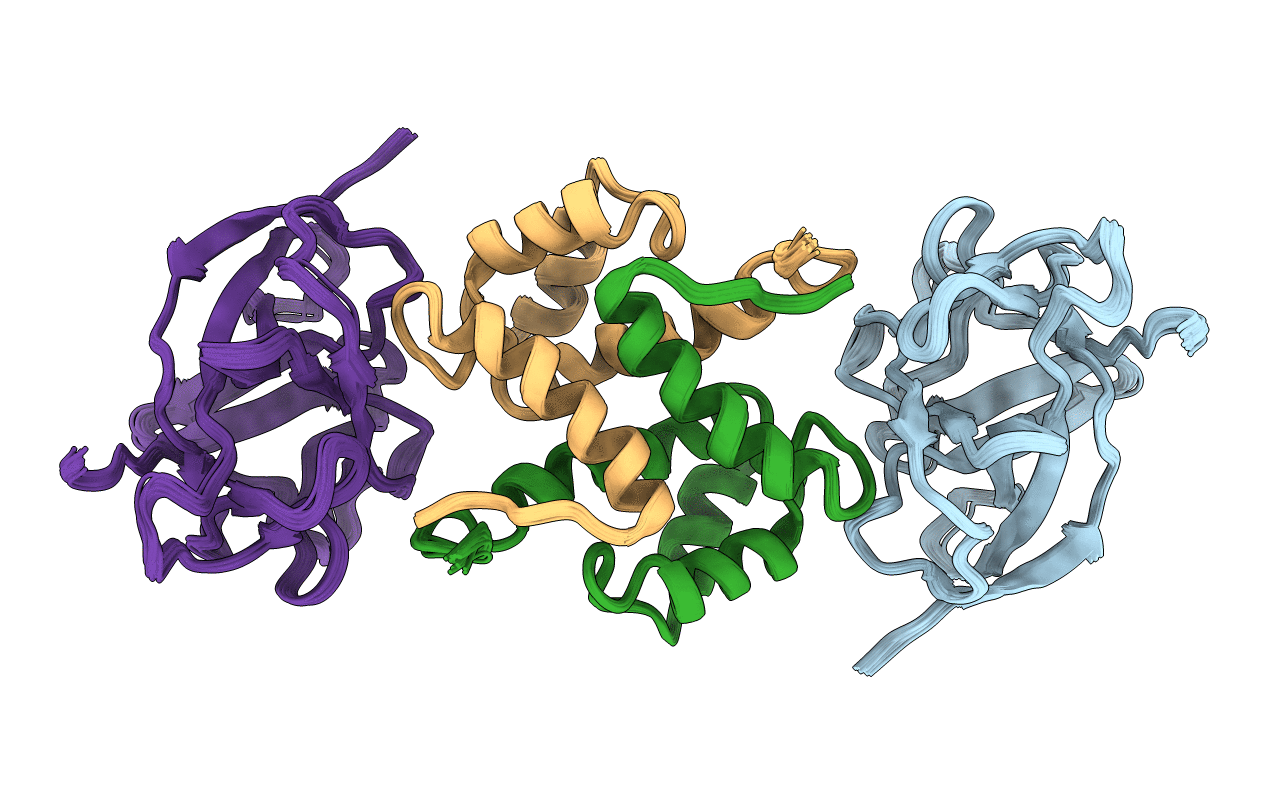 2L5X image