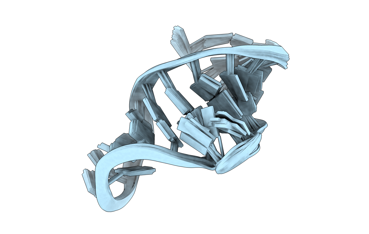 2L5Z image