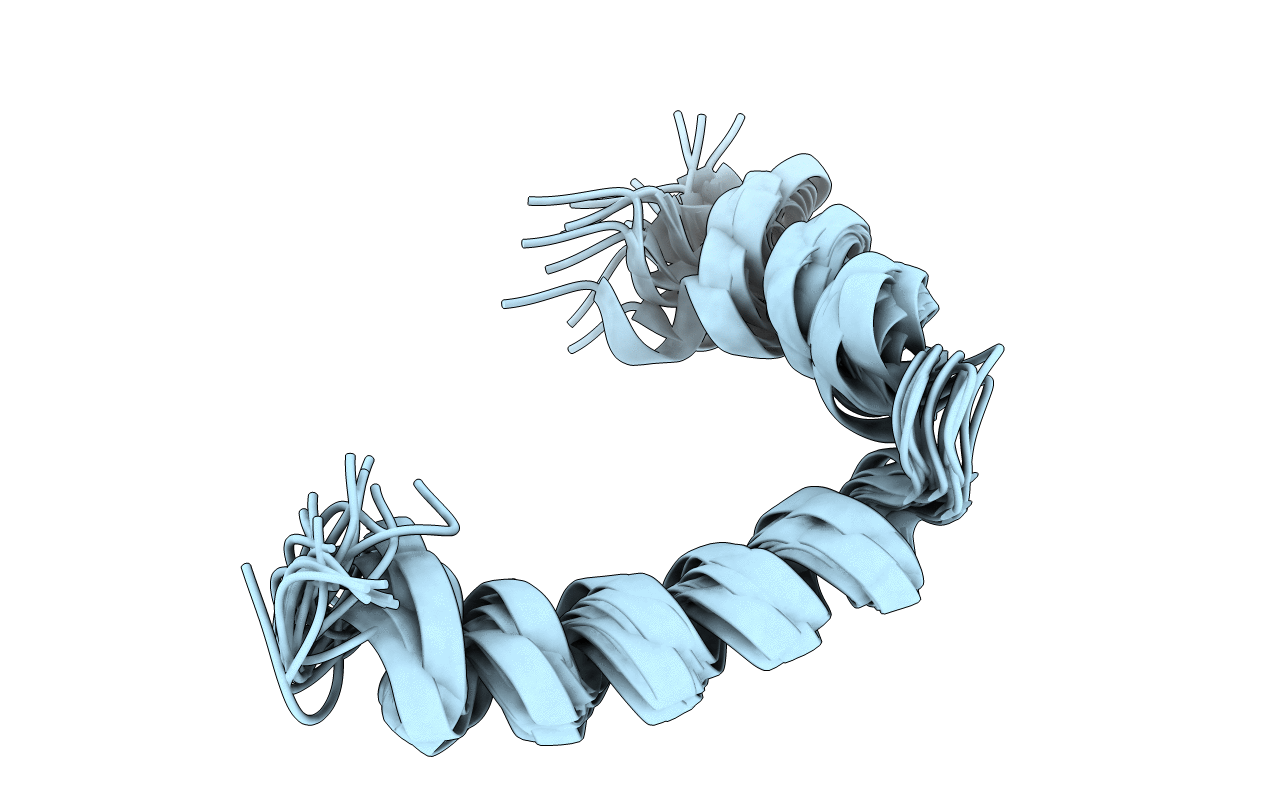 2L60 image