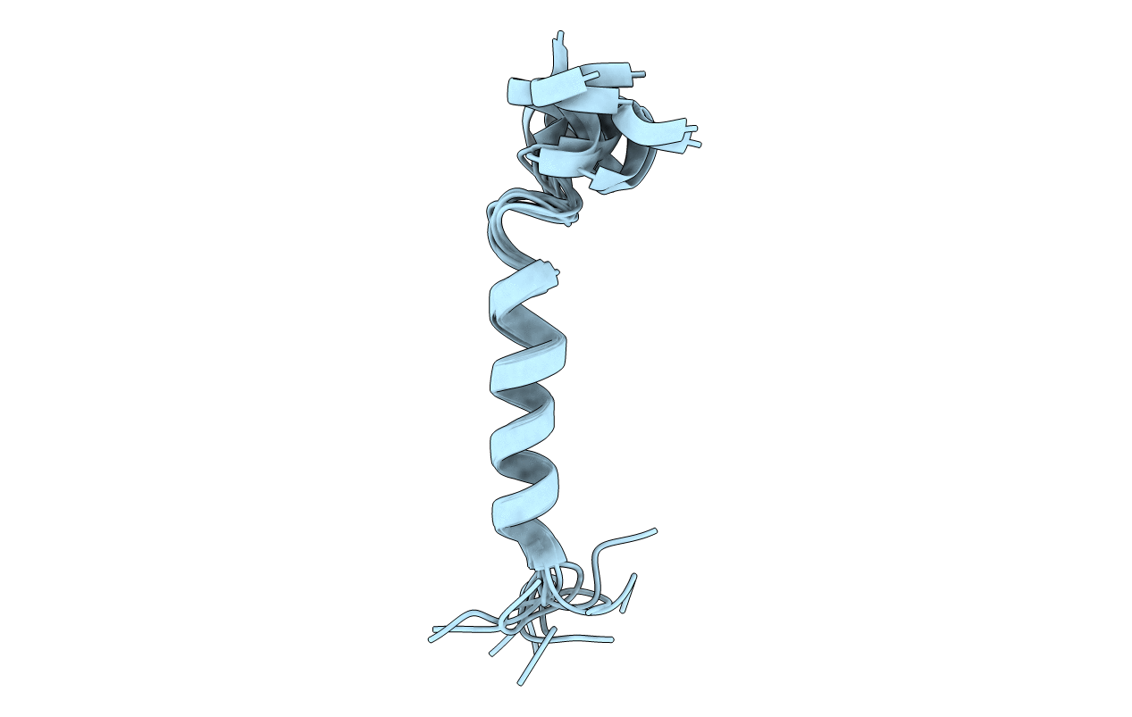 2L64 image
