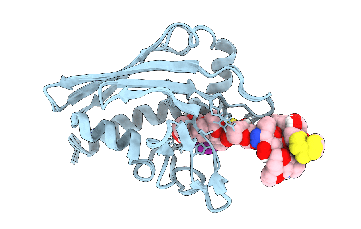 2L65 image