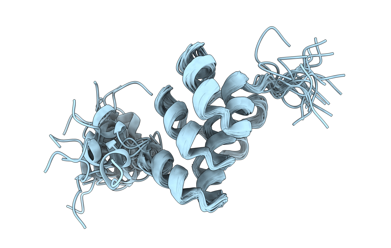 2L6B image