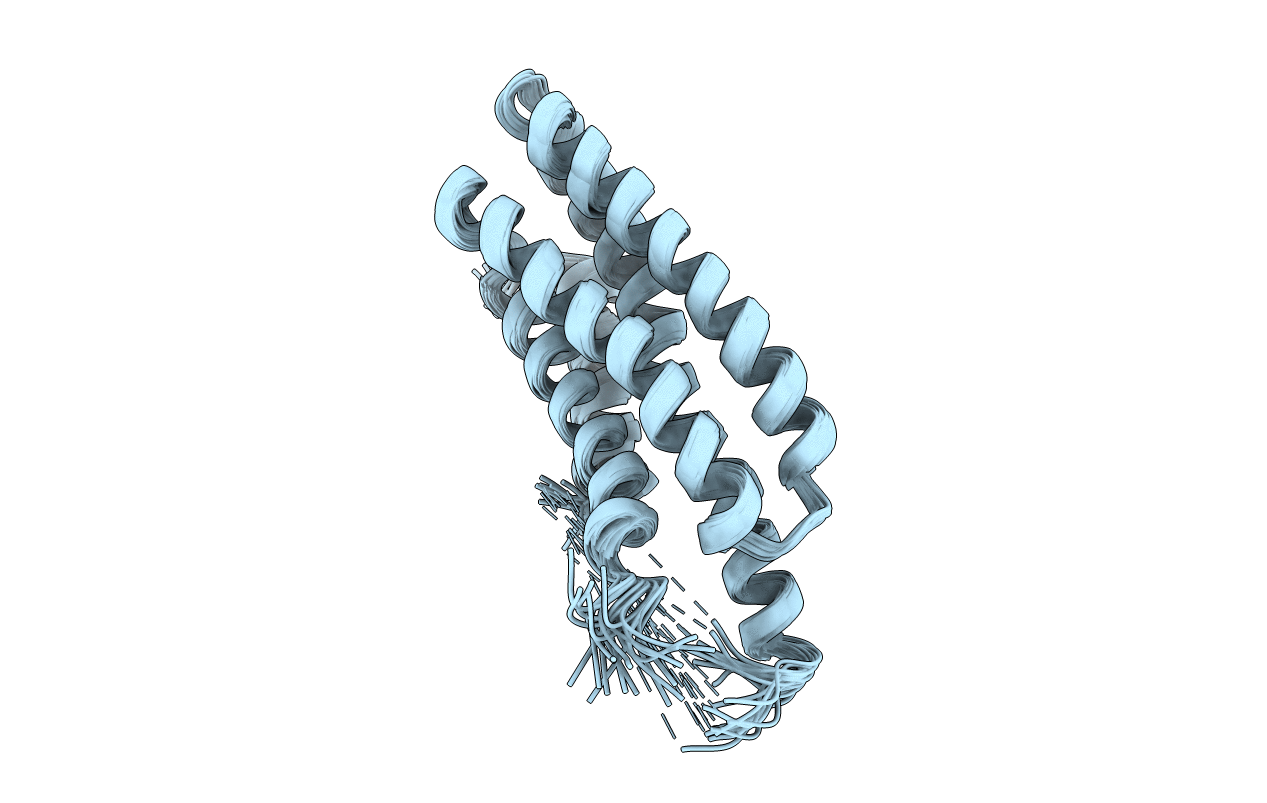2L6G image