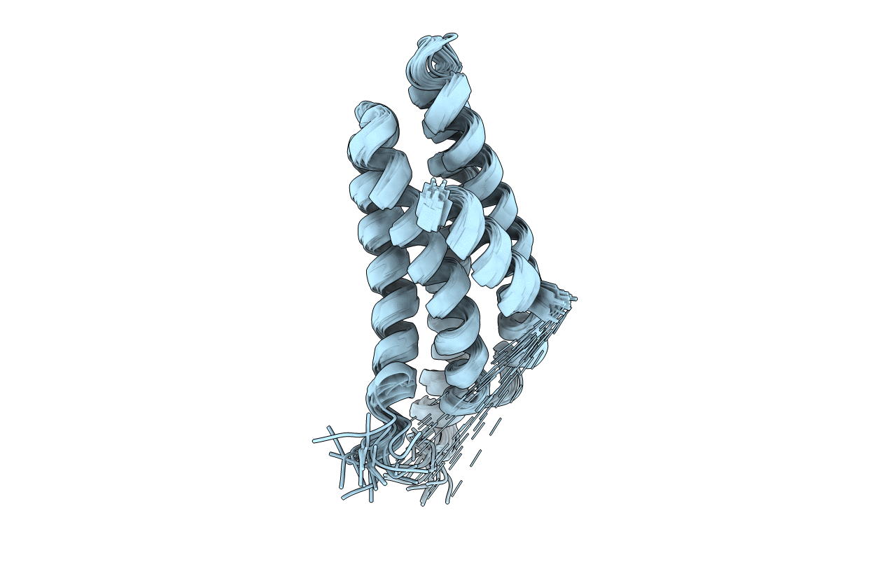 2L6H image