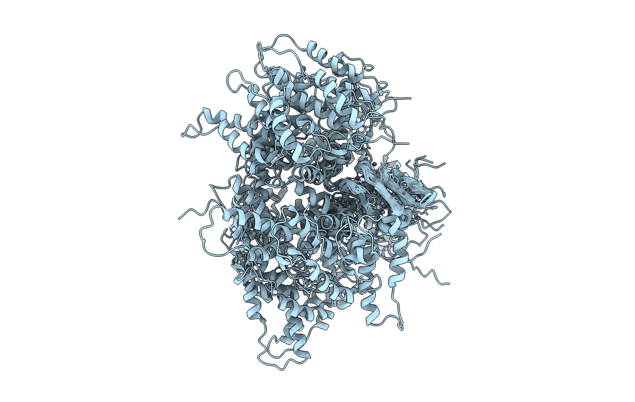 2L6L image
