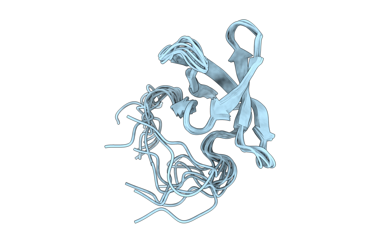 2L8D image