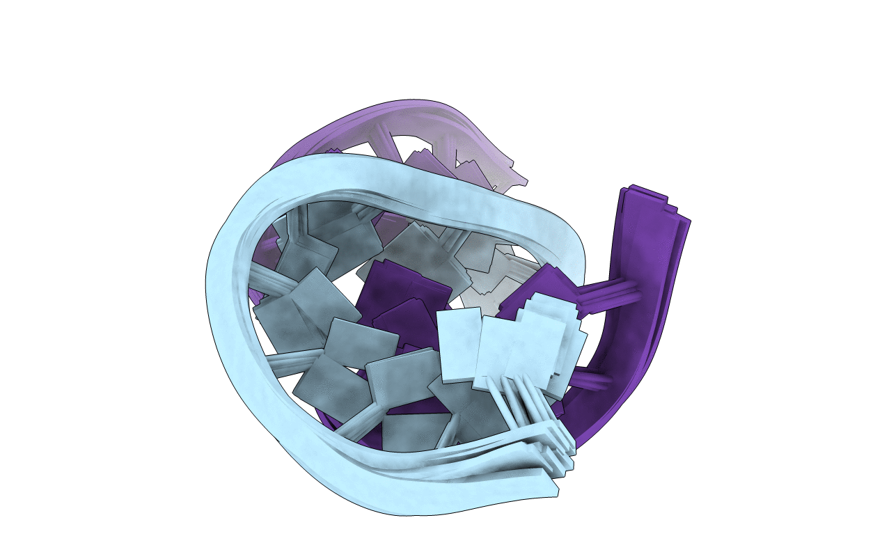 2L8F image