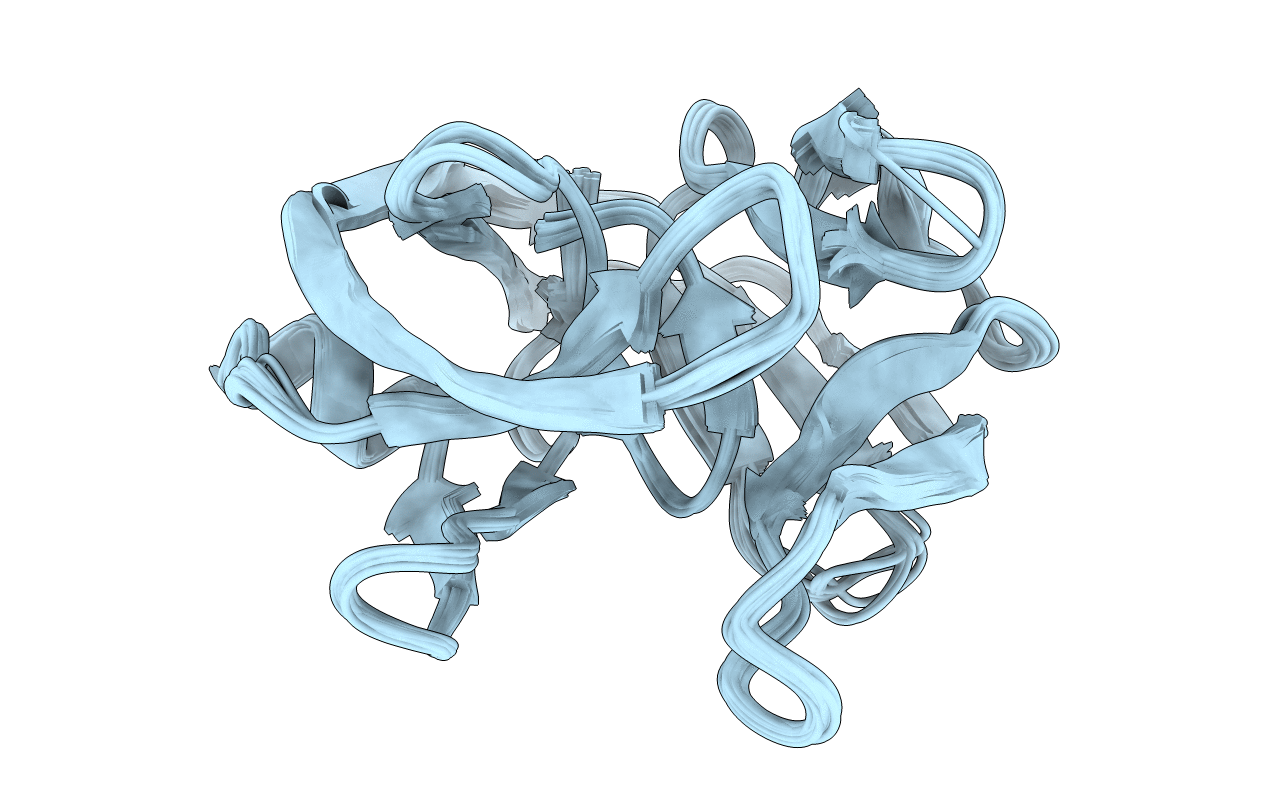 2L8L image