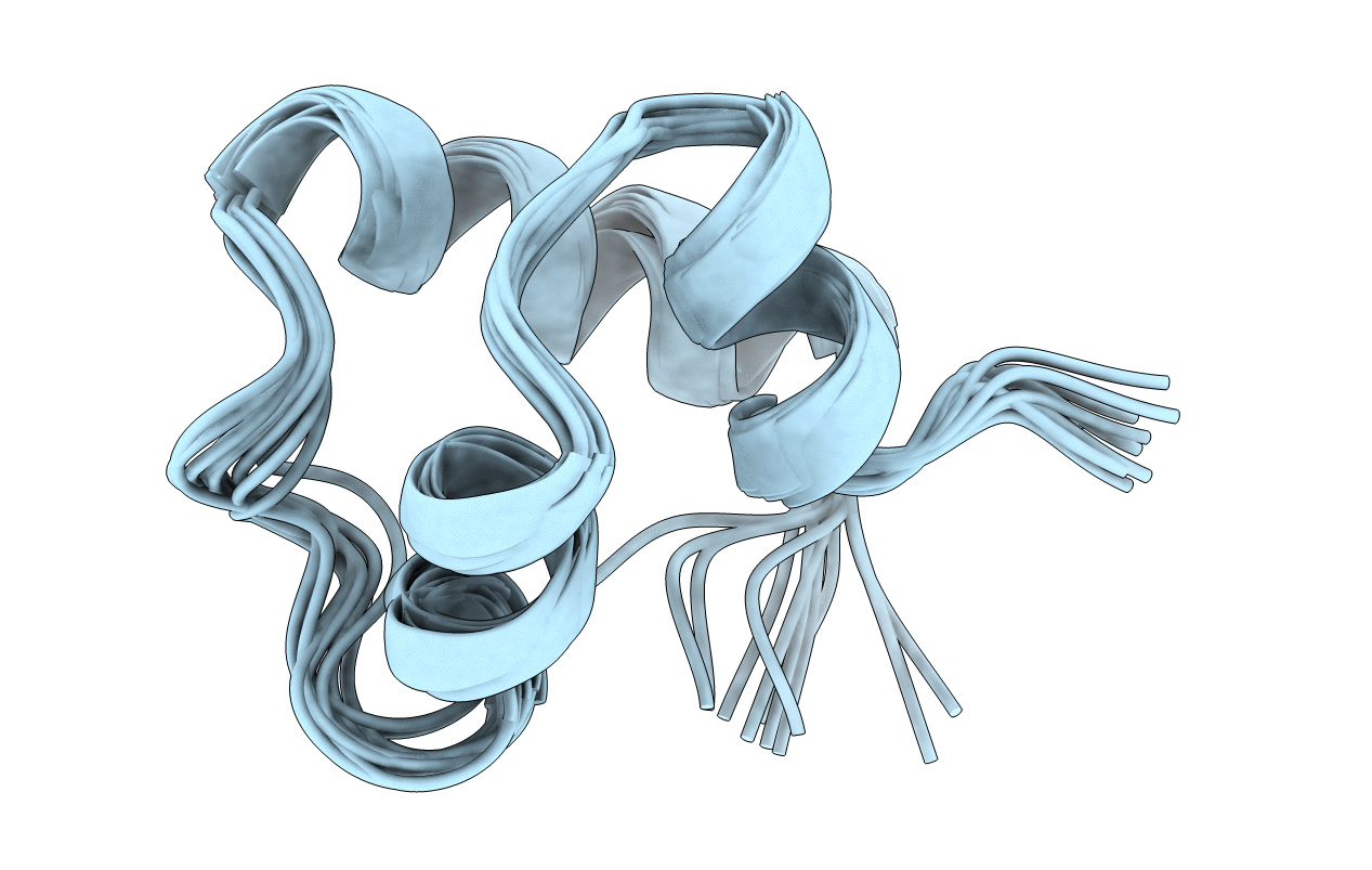 2L8N image