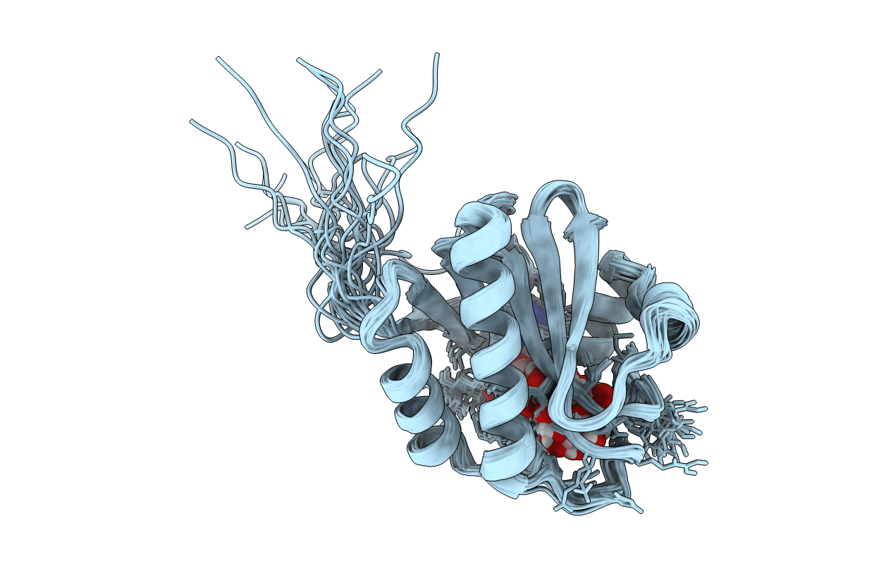 2L8R image