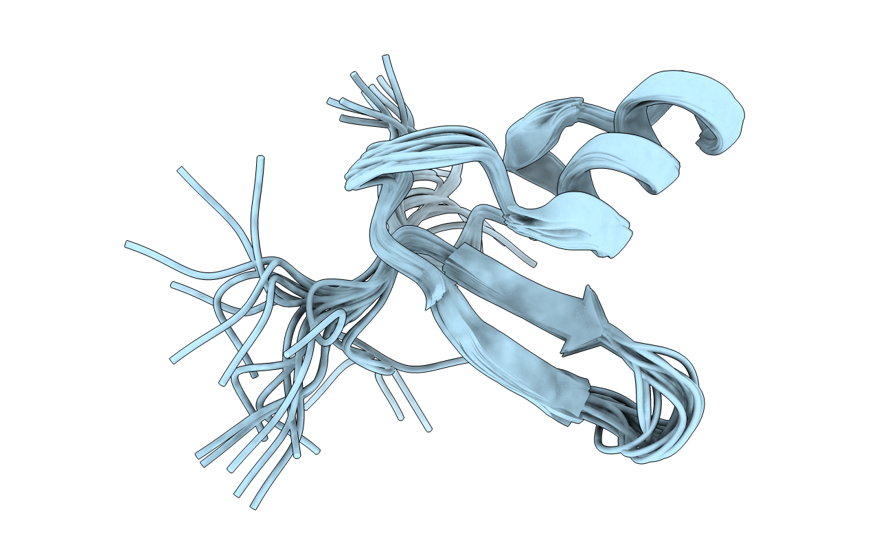 2L93 image