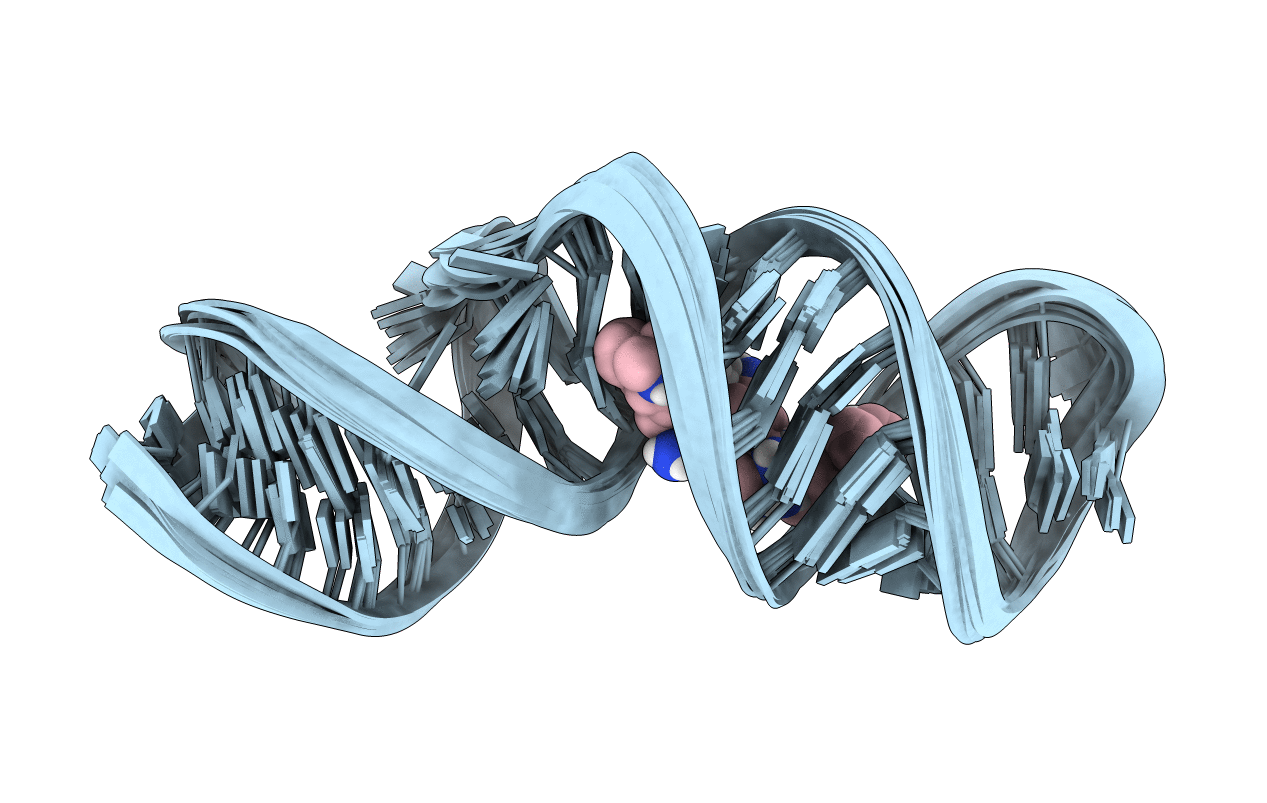 2L94 image