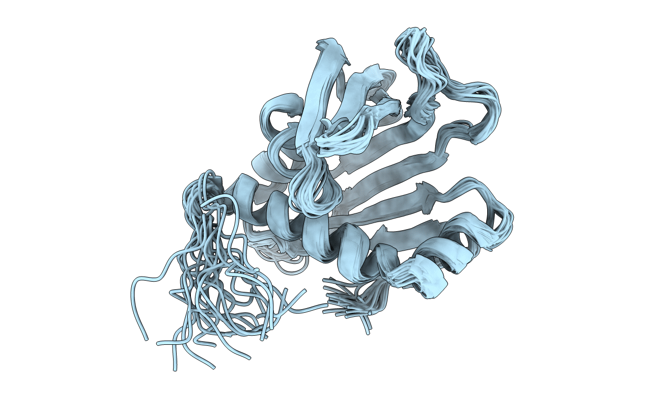 2L9P image