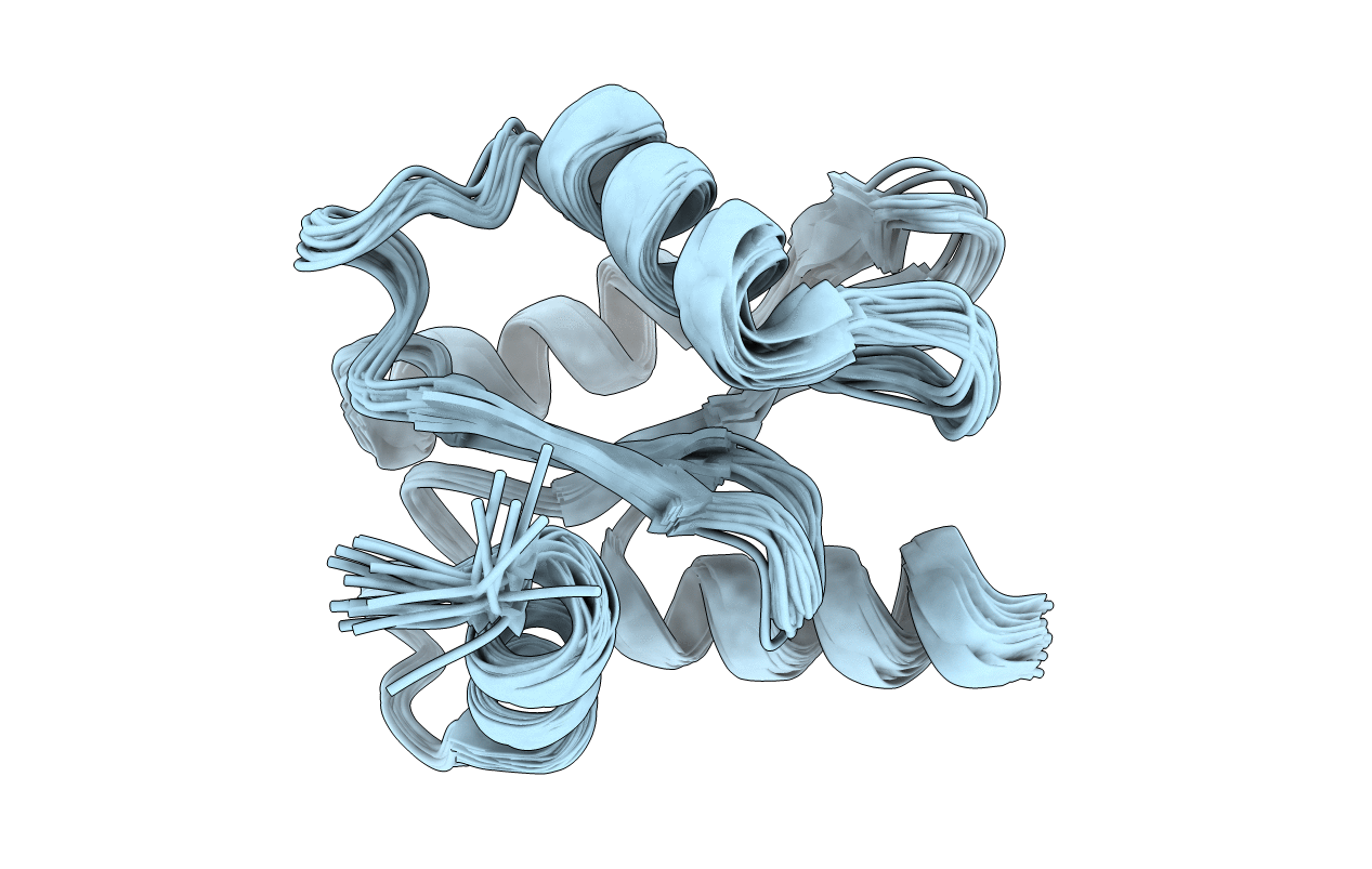 2L9W image