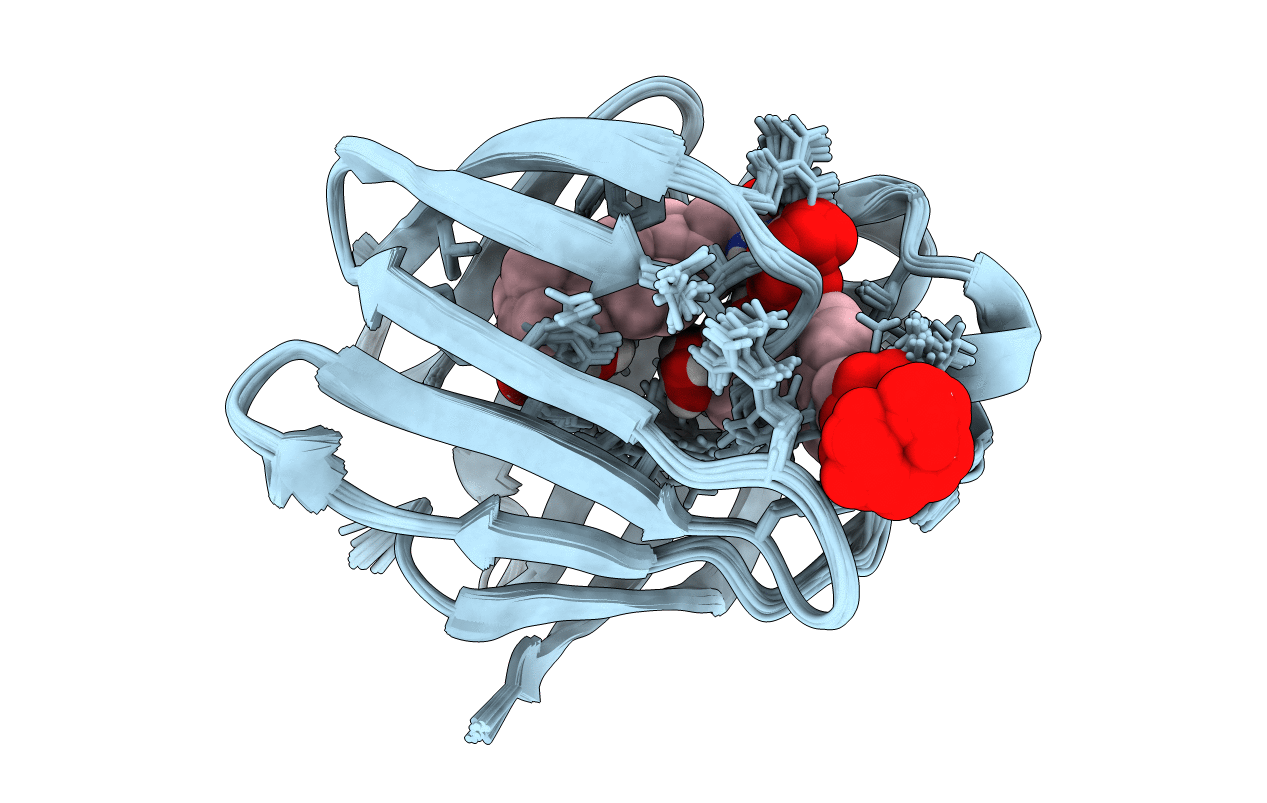 2LBA image
