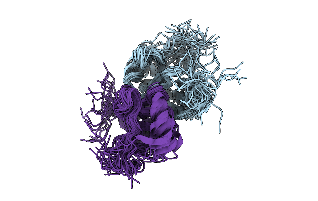 2LBH image