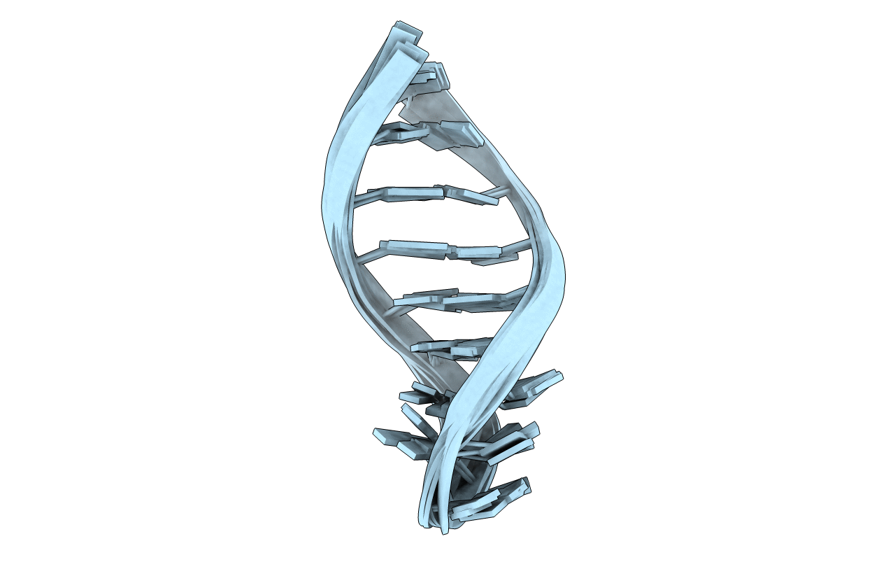 2LBL image