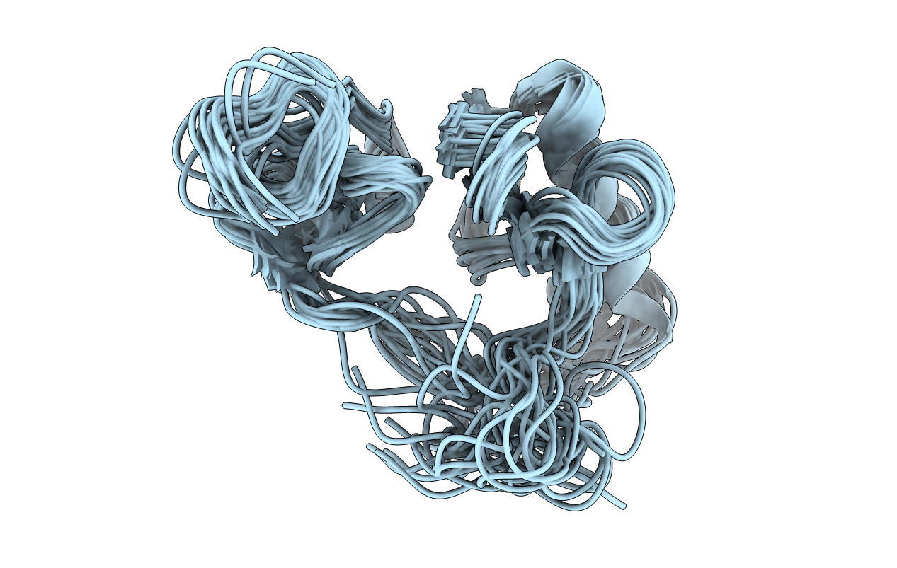 2LBN image