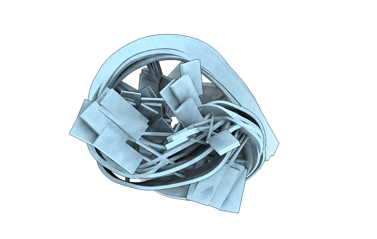 2LBR image