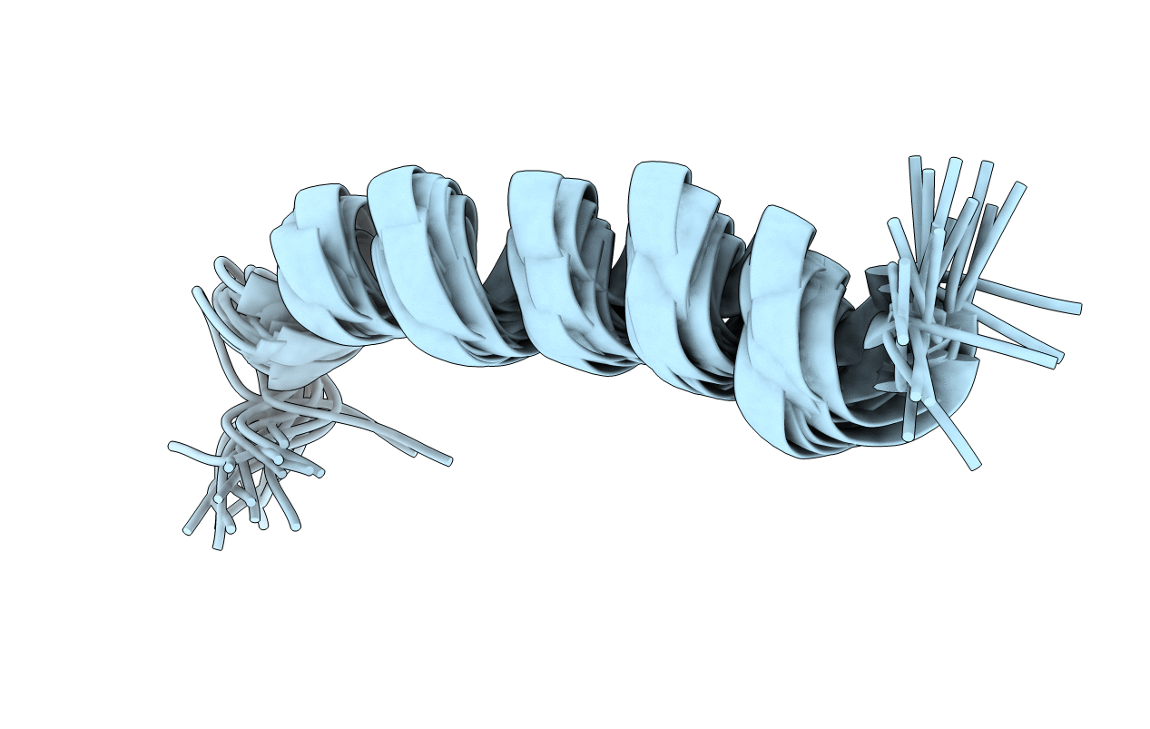 2LCM image