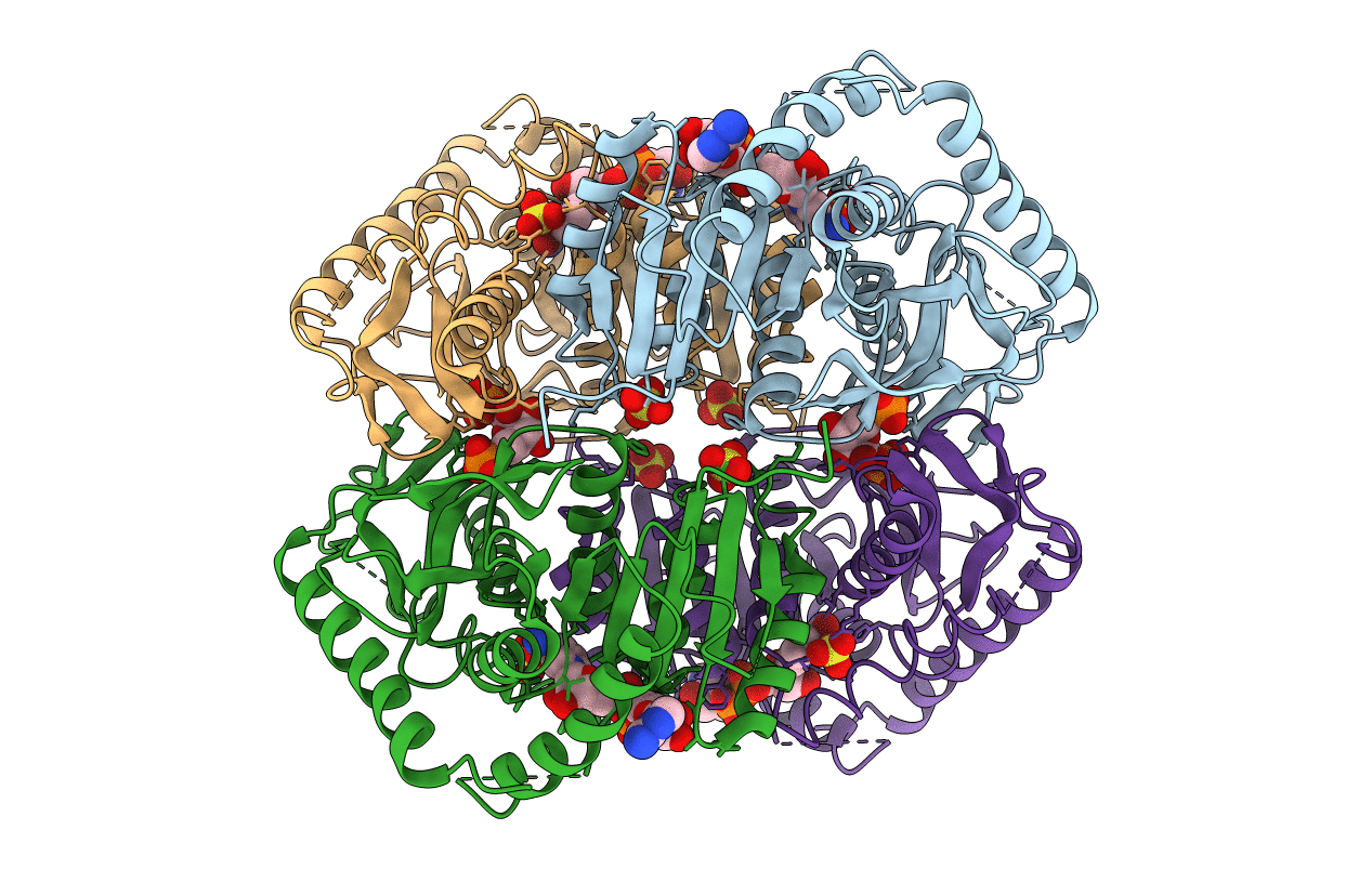 2LDB image